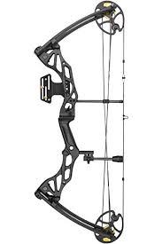 Buyersguide.org has been visited by 1m+ users in the past month Top 11 Best Compound Bows For Hunting 2020 Reviews Native Compass