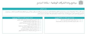 10 برامج استراتيجية جديدة لتسريع قاطرة رؤية 2030 صحيفة الاقتصادية