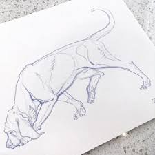 J A W Cooper Jawcooper Art Twitter Animal Drawings Animal Sketches Art