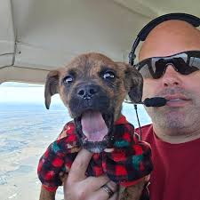 Fundraiser by Lindsey LeBlanc : Lindsey's Animal Rescue Flight Fund