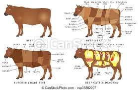 Beef cut posters are the most effective tools to learning more about the various cuts of beef, where they come from on the carcass and the recommended cooking method for each cut. Beef Chart Cuts Of Beef Beef Cuts Diagram Beef Meat Cuts Meat Cutting Beef Scheme Of The Template Beef Cuts American Canstock