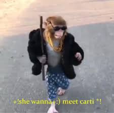Stream she wanna meet carti by ln on desktop and mobile. T I Wear Doc Martens Collect Records And Cry Every Night Facebook
