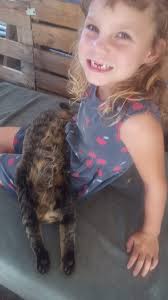 Is this your kitty? Found at the dam