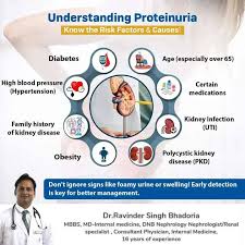 Image result for Proteinuria Causes