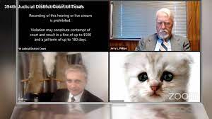 Texas attorney leaves cat filter on during zoom hearing. I M Not A Cat Lawyer Talks To Abc News Video Abc News
