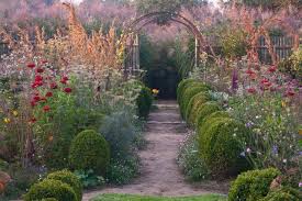 Matin Lumineux Le Jardin Plume Jardins Jardins De Vivaces Et Fleur Jardin