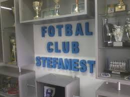 Avem, de asemenea, spații cu aer condiționat, ca să vă simțiți confortabil, indiferent de vreme. Stadionul Dumitru MÄƒtÄƒrÄƒu Stadion In StefÄƒnestii De Jos