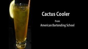 So steve jobs could unveil his other big new product inspired by his xerox. Cactus Cooler Cocktail Drink Recipe Youtube