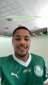 @Palmeiras's video Tweet