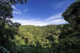 Signifikan utama dalam penjagaan alam sekitar adalah habitat flora dan fauna akan terpelihara. 46 Puisi Tentang Alam Dan Lingkungan