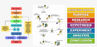 We accept payment from your credit or debit cards. Scientific Process Give The Steps In Scientific Method Free Transparent Png Download Pngkey