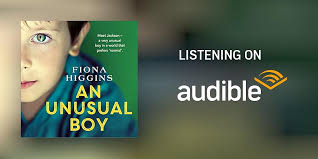 An Unusual Boy by Fiona Higgins
