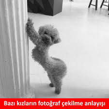 bazi kizlarin fotograf cekilme anlayisi karikatur mizah matrak komik espri saka girgir komiksozler caps komik seyler komik gulunc resimler