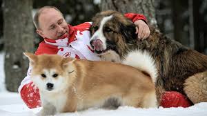 Get it as soon as tue, feb 16. Vladimir Putin Russia S Action Man President Bbc News