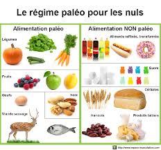 Infographie Le Regime Paleo Pour Les Nuls Forum Musculation Alimentation Paleo Regime Paleo Alimentation