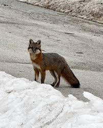 Janet Lynn Hammel-Moritz