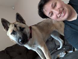 What breed is my dog Puddles?