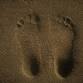Reflexology Sessions  — Bell View Charity event image