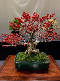 Printed area is 99mm wide x 250mm tall. Bonsai Berries Bonanza Laptrinhx News