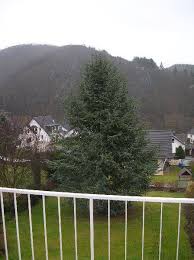 Wenn sie jetzt ein haus in bad honnef kaufen, sollten sie auch die pläne für die zukunft berücksichtigen. Privatzimmer Und Pensionen In Der Erlebnisregion Nurburgring