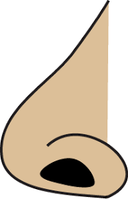 Free Nose Clipart Clip Art Nose Free Clip Art