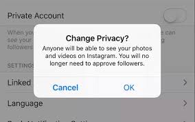 My daughter has a private account on instagram and i want to know what she posts or whom she talks to without letting her know. Private Instagram Private Follows Delete History More The App Factor