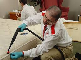 Bug guardian is your pest control resource in fountain hills, az. Pest Control Mesa Pest Control Services Mesa Father Son Pest Control Mesa Az