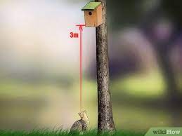 Our top tips on what birds eat, how to feed birds and how to attract them to your garden. 3 Ways To Attract Birds To Your Garden Wikihow