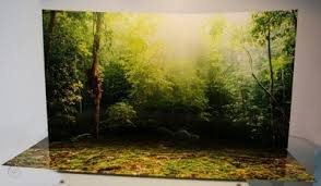 Maybe you would like to learn more about one of these? Sideshow Action Figure Background Display Vivid Forest 1 6 329992477