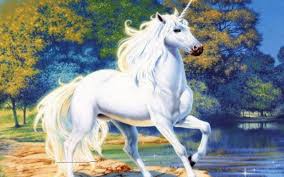 If i'm missing a type of unicorn, put the type of unicorn in the. 10 Reasons Why Unicorns Are Amazing Text Images Music Video Glogster Edu Interactive Multimedia Posters