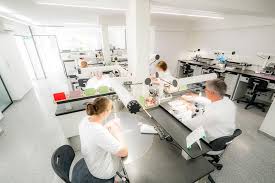 Die zahnklinik mühldorf am inn gmbh übernahm 2010 den handwerksbetrieb „zahntechnik georg fischer. Team Zahnklinik Muhldorf Am Inn