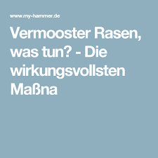 Vermooster Rasen Was Tun Die Wirkungsvollsten Massnahmen Rasen Gartenbepflanzung Gartentipps