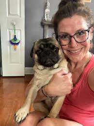 Introduction and photos of pug