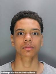 Teenage Premier League hopeful, 18, who carried out knife attack in park is  jailed for eight years