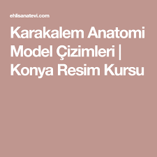 Karakalem Anatomi Model Cizimleri Konya Resim Kursu Cizim Anatomi Resim