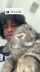 Funny Guy Wears Bunny Ears Saying Huh