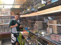 Nah, itulah kunci cara membuat lovebird ngekek panjang. Abuy Ky Bf Bandung Rahasia Hasilkan Anakan Love Bird Warna Sekaligus Ngekek Durasi Burungnews
