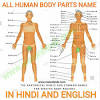 Check spelling or type a new query. 1