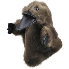 As discussed on the adaptation section, the platypus uses electroreception to find its prey. Platypus Hand Puppet Soft Plush Toy Dink Di Mates