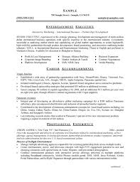 Entertainment Executive Resume Example