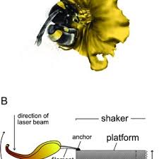 Check spelling or type a new query. 1276 Pdfs Review Articles In Laser Doppler Vibrometry