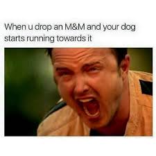 Image Result For Lemming Spoon Tumblr Guardians Of The Galaxy Memes Funny Memes