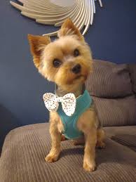 Thank you everyone for your kind expressions. Please stay