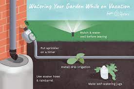 How To Water Plants While You Re Away On Vacation