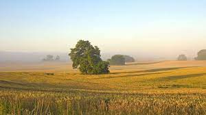 The region is famous for its unique landscape with. Wildes Deutschland Die Uckermark Doku Reportage Rbb
