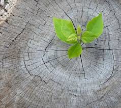 Vorsorgeuntersuchung, inklusive brustkrebsvorsorge, sind dein gutes recht. Brustkrebs Diagnostik Martina Breidenbach Koln Brustgesundheit Koln