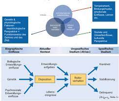 Die umweltfaktoren sind in der icf klar benannt. Biopsychosoziales Modell Zur Entstehung Von Psy Storun Klinische Psychologie Des Kindes Und Jugendalters Repetico