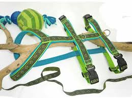 Sicherheitsgeschirr Mit Dekorativer Borte Und Neoprenpolster Www Peppetto De Sicherheitsgeschirr Geschirr Digitale Kunst