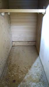 Trichoderma Mold In The Home