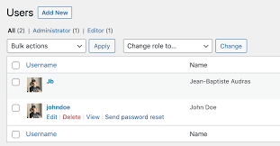 Notice that send is a regular verb and send out is a phrasal verb. Send Reset Password Links In Wordpress 5 7 Make Wordpress Core